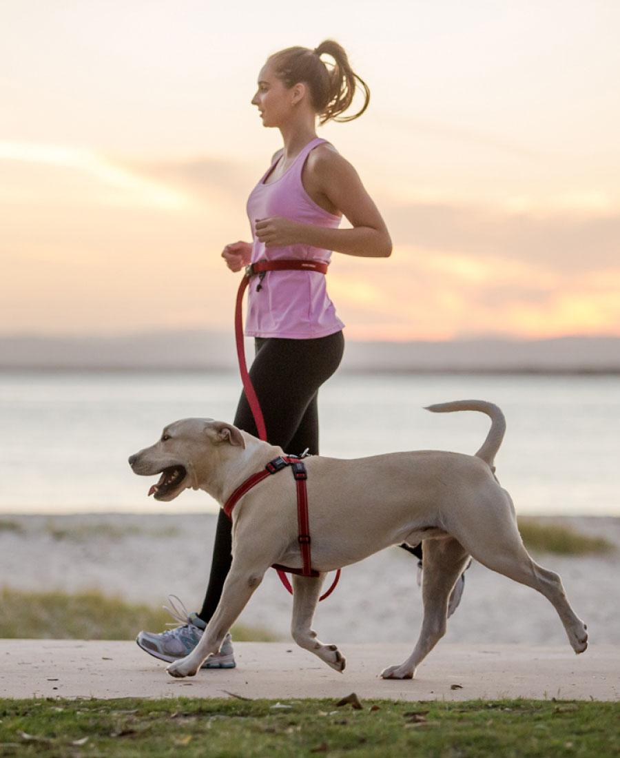 EzyDog Road Runner Riem Bubble Gum