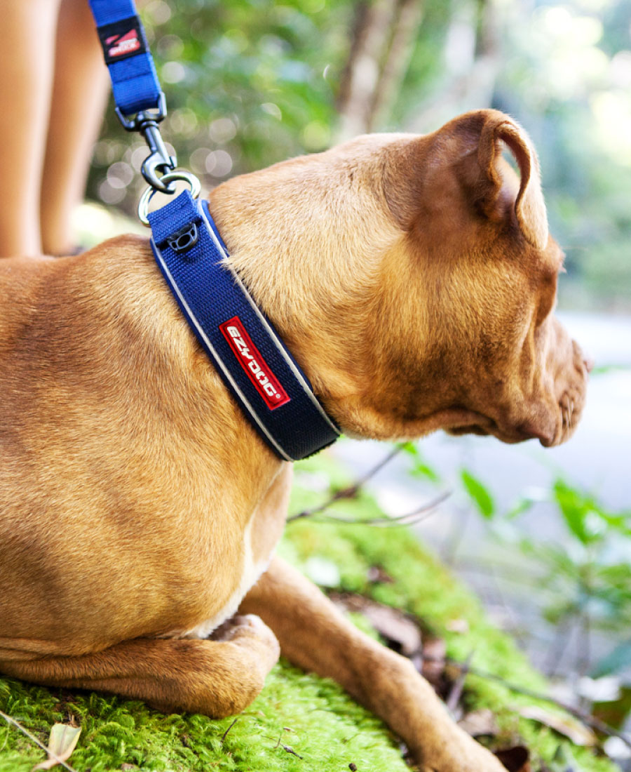 EzyDog Neo Classic Halsband Bubble Gum