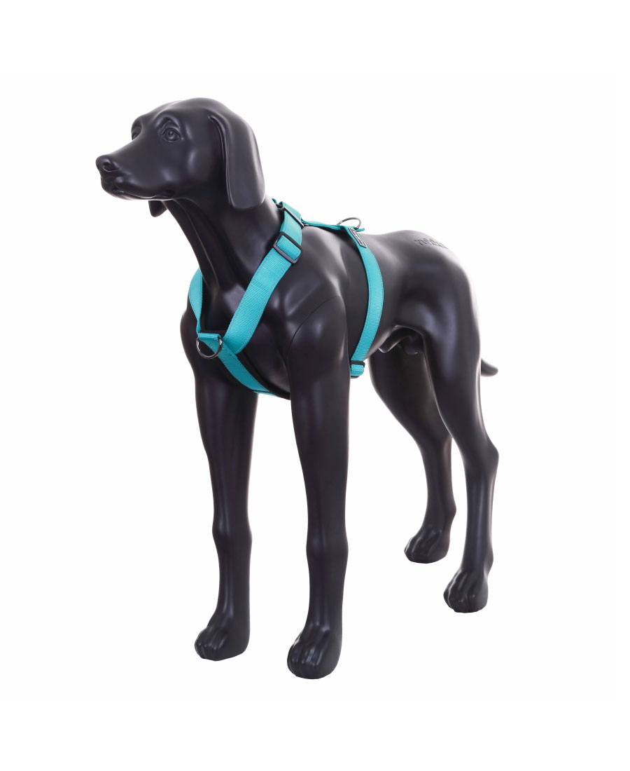 Rukka Pets Form Tuig Turquoise