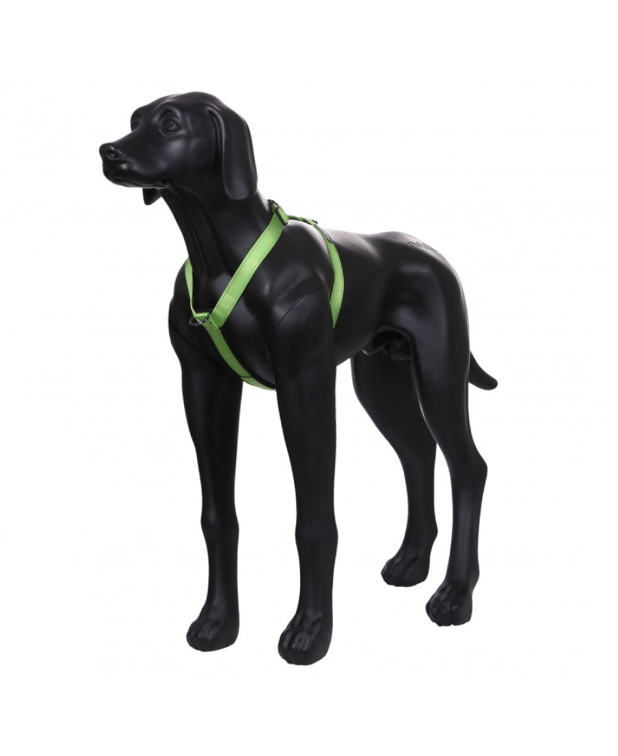 Rukka Pets Form Tuig Turquoise