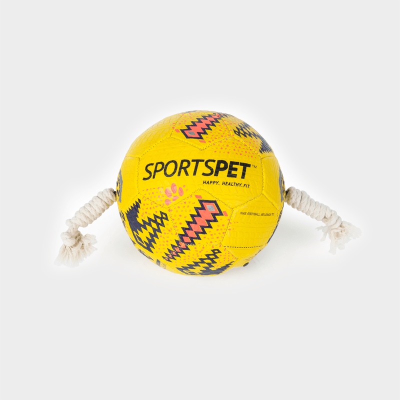SPORTSPET Football Size 3
