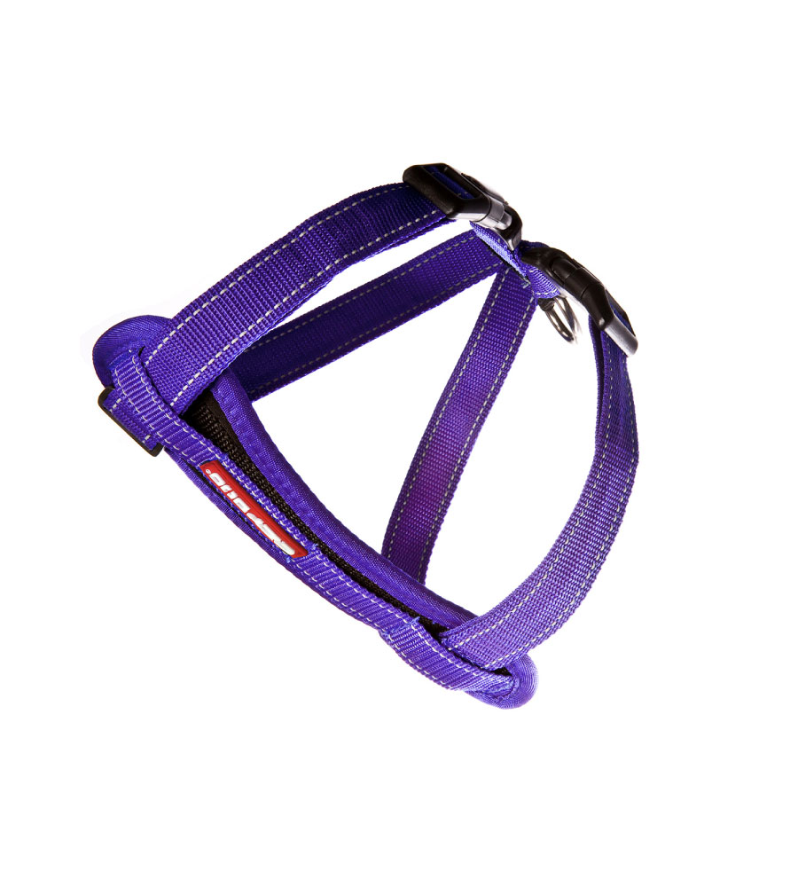 EzyDog Chest Plate Tuig Paars