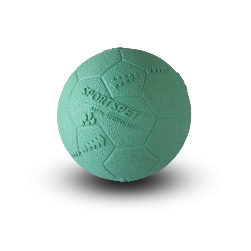SPORTSPET Football Bounce Blauw