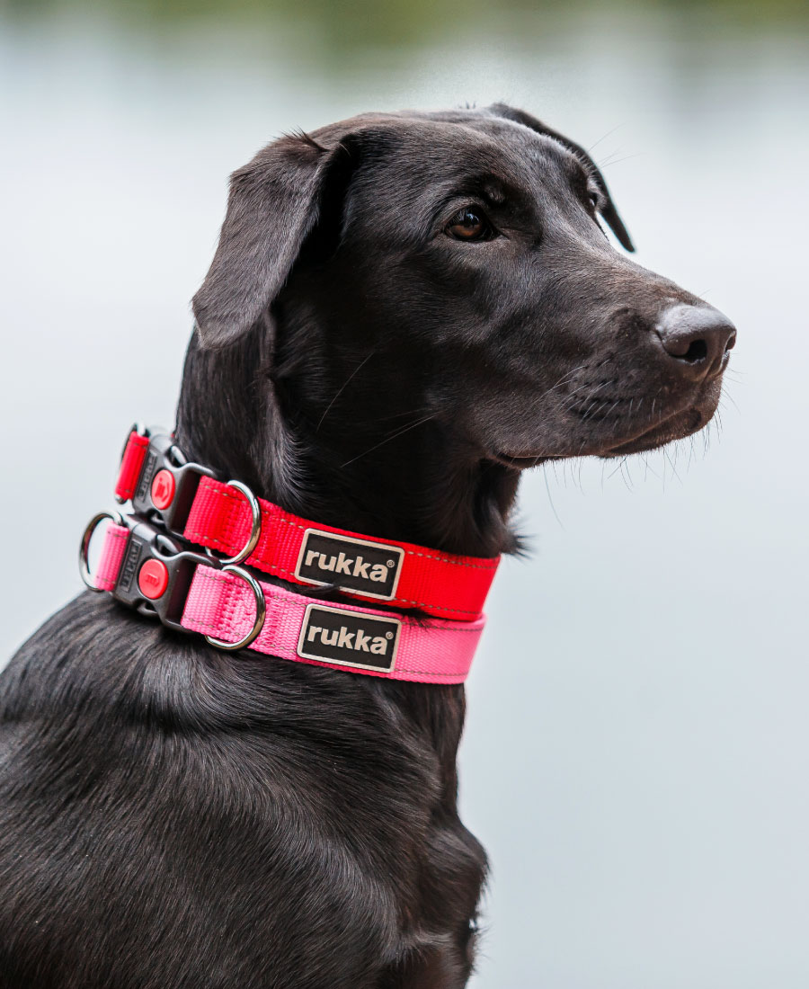 Rukka Pets Bliss Halsband Pink