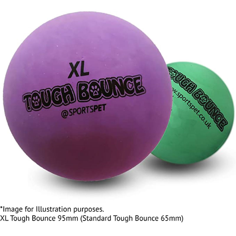 SPORTSPET Tough Bounce XL