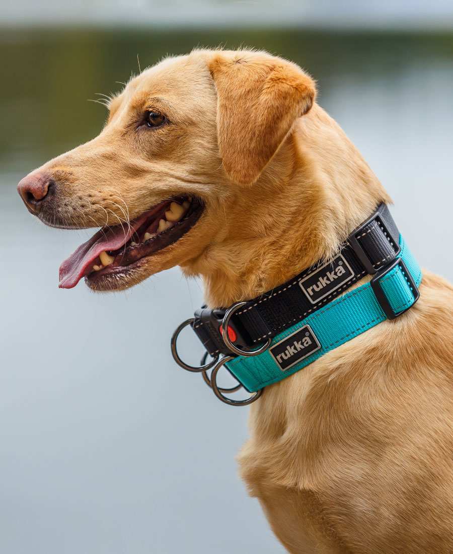 Rukka Pets Bliss Halsband Pink
