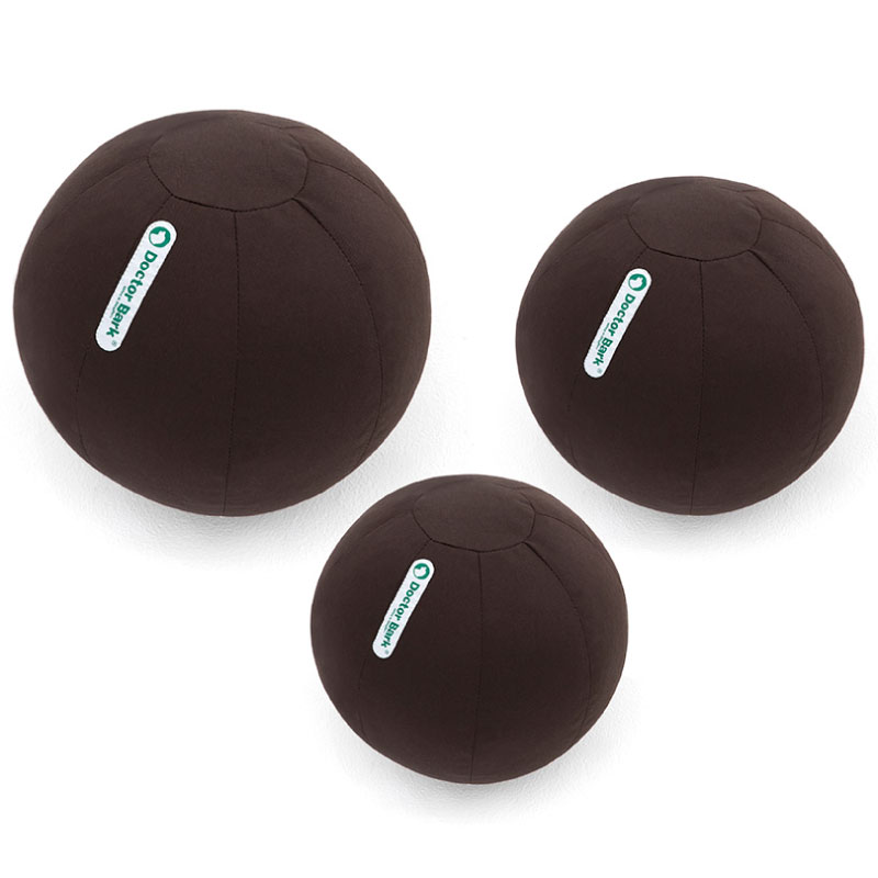 Doctor Bark Toy Ball Bruin