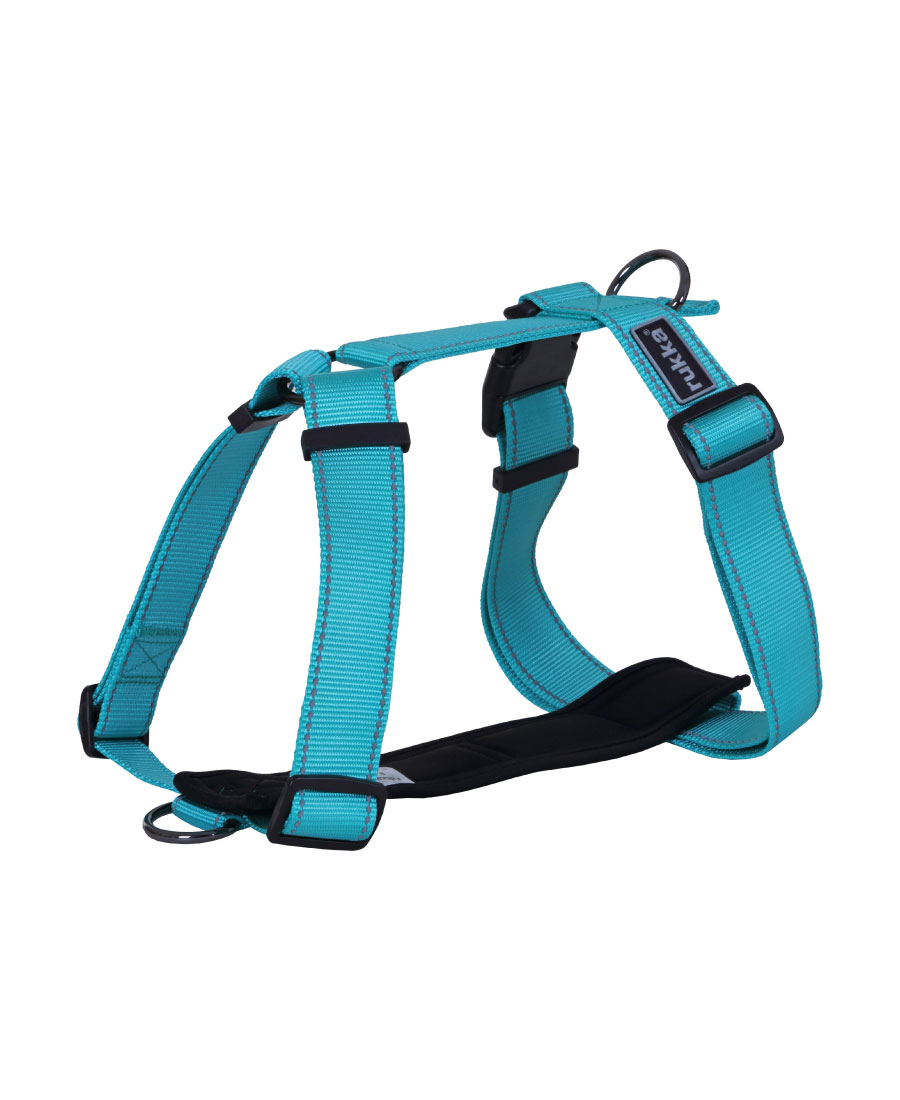 Rukka Pets Form Tuig Turquoise