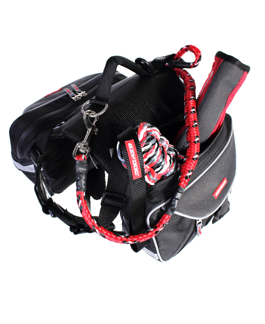 EzyDog Summit Backpack S