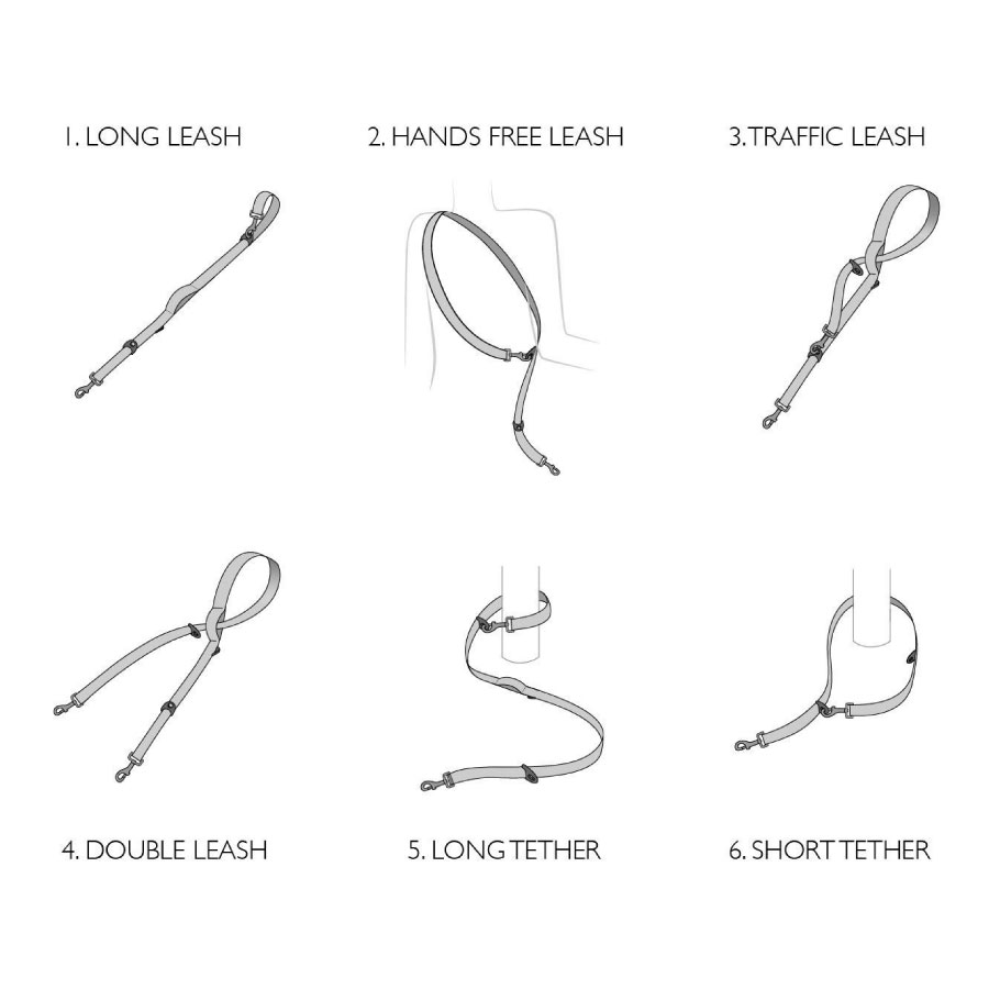 EzyDog Vario 6 - Multifunctionele hondenriem Zwart