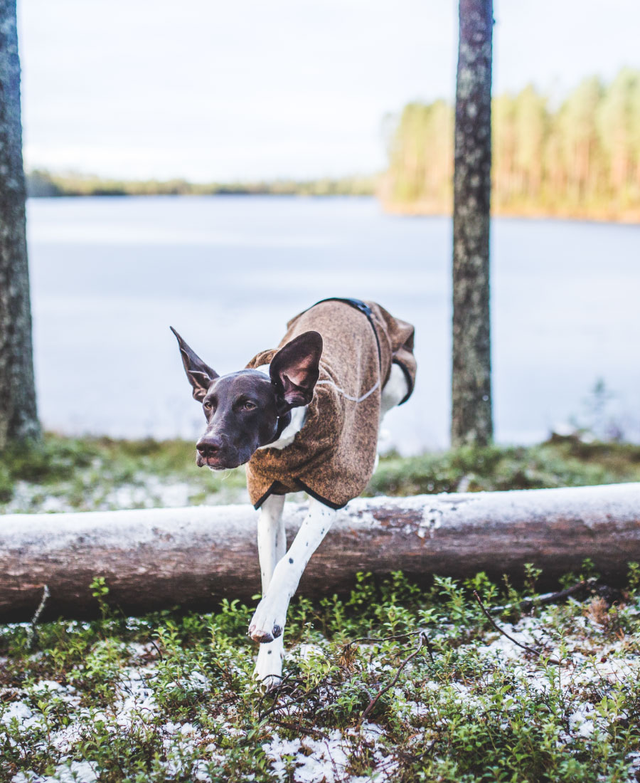 Rukka Pets Comfy Knit Jacket Forest