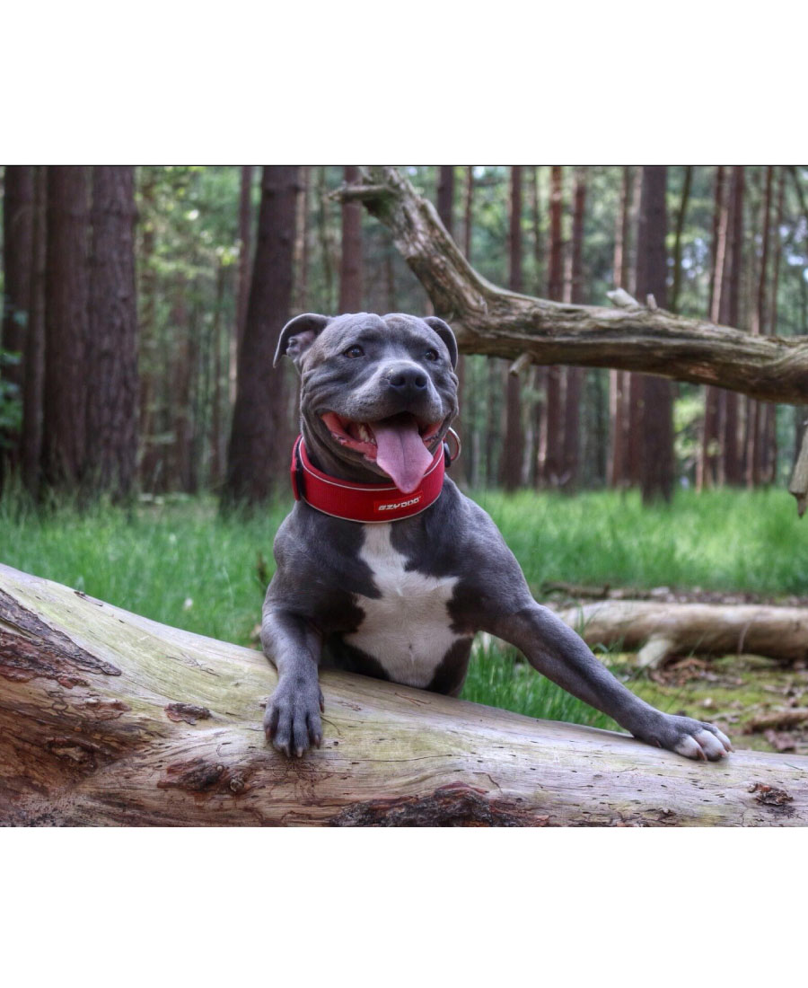EzyDog Neo WIDE Halsband Pink Camo