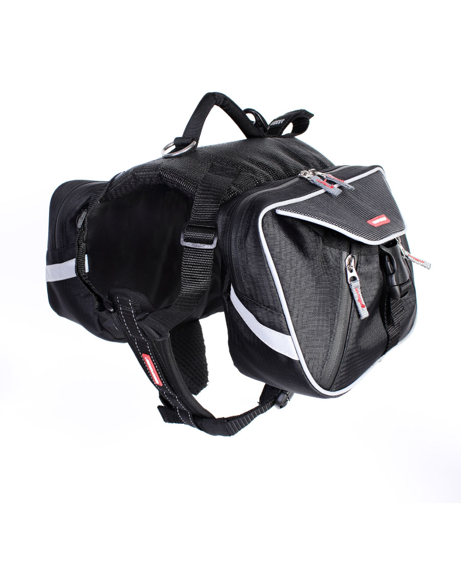 EzyDog Summit Backpack