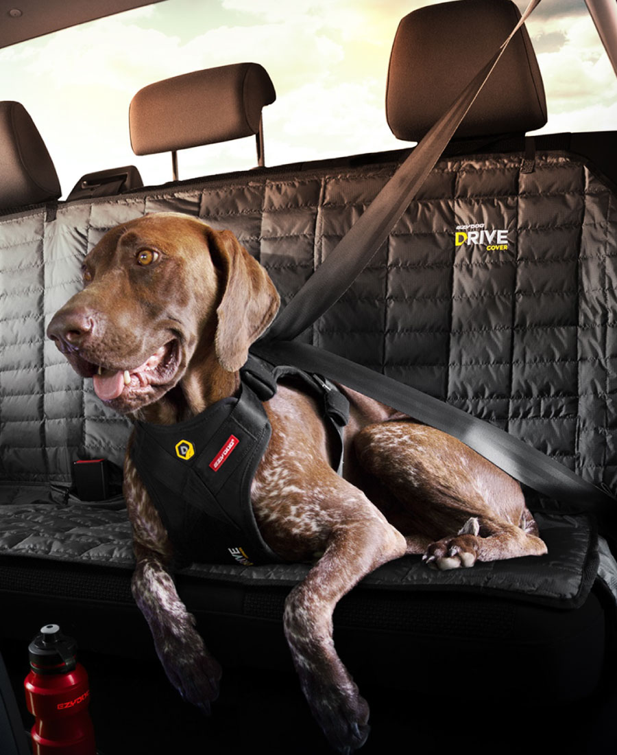 EzyDog DRIVE Autobeschermhoes