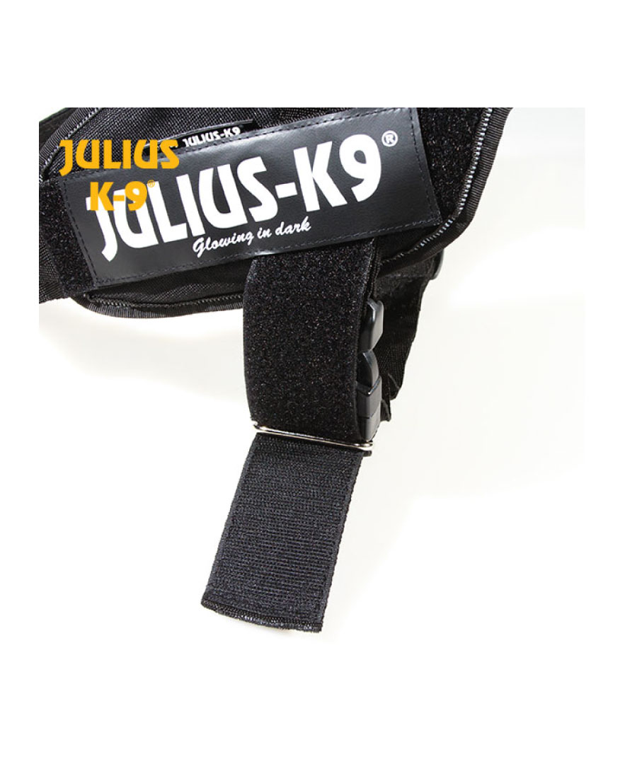 Julius-K9 IDC Powertuig met Security Lock