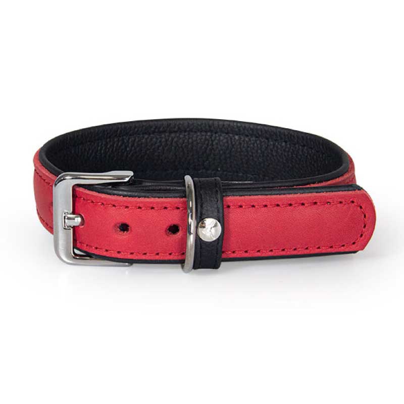 Rood / Zwart