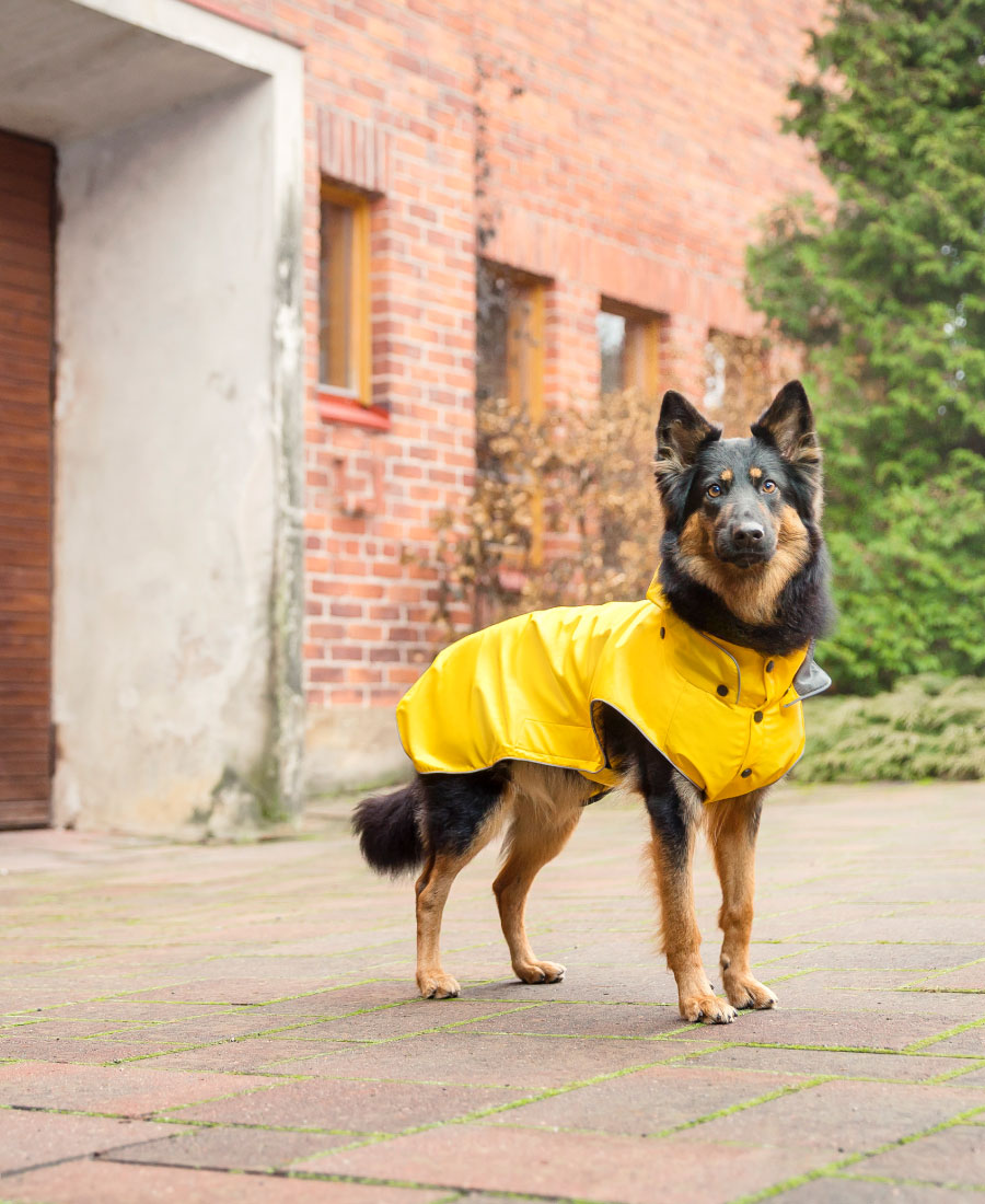 Rukka Pets Stream Hondenregenjas Geel