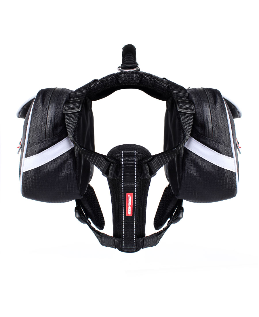 EzyDog Summit Backpack