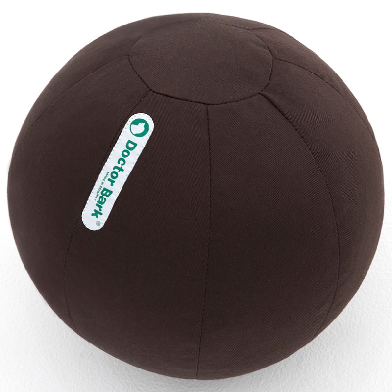 Doctor Bark Toy Ball Bruin