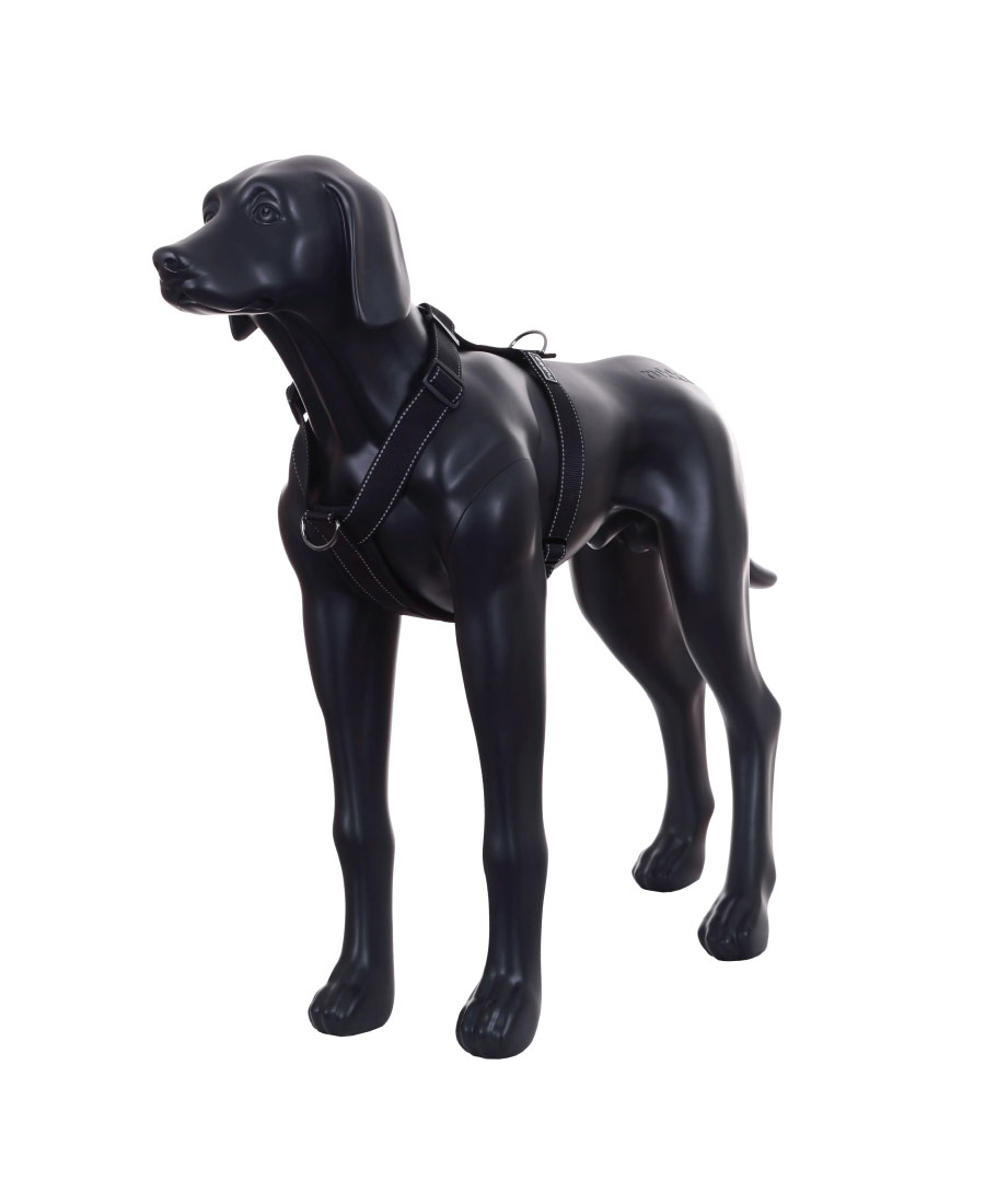 Rukka Pets Form Tuig Turquoise