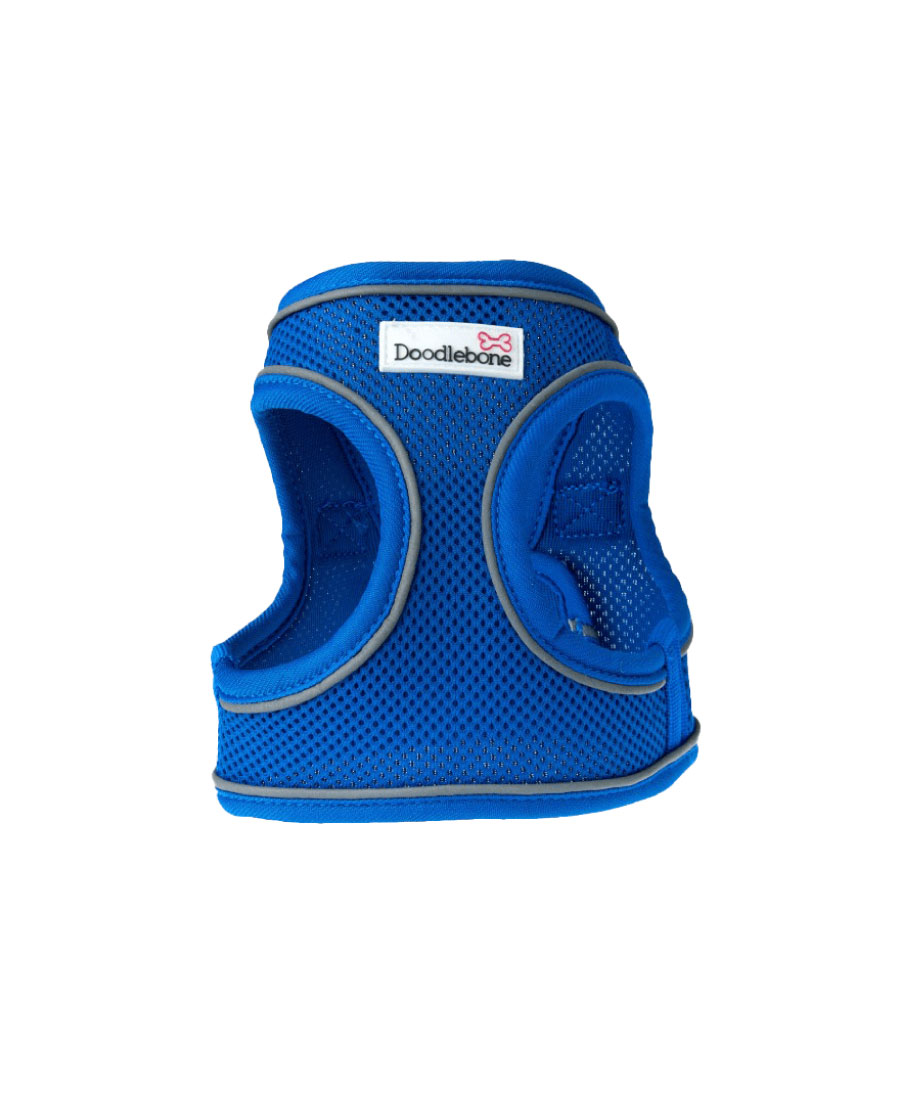 Doodlebone Snappy Tuig Royal Blue