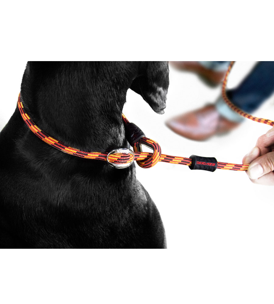 EzyDog Luca Retrieverlijn Zwart