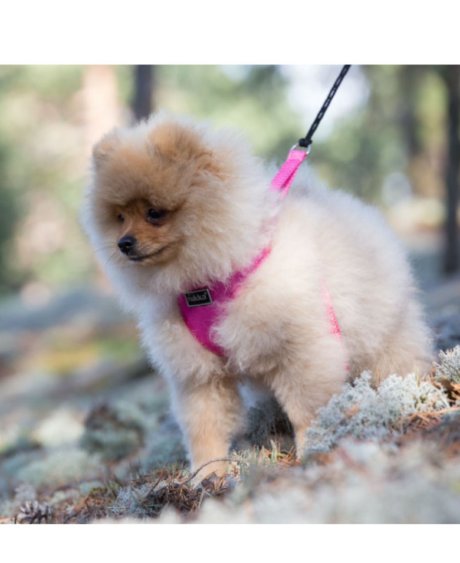 Rukka Pets Mini Comfort tuig Pink  Rukka Pets Mini Comfort tuig Pink