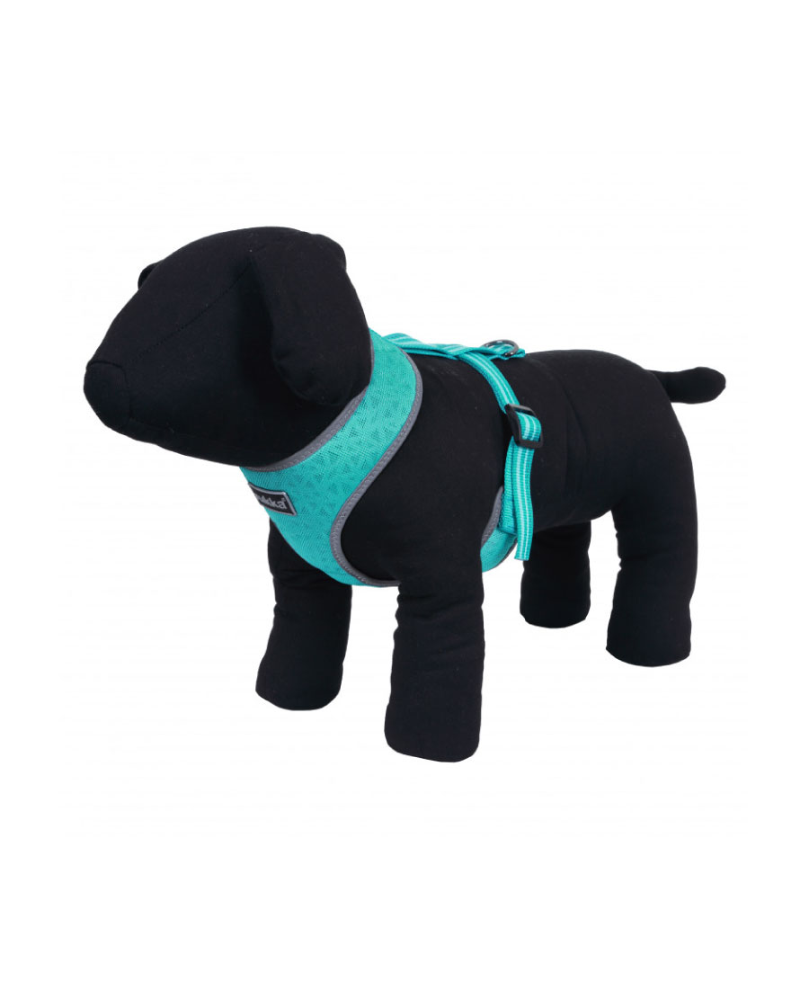 Rukka Pets Laser Mini Tuig Aqua 