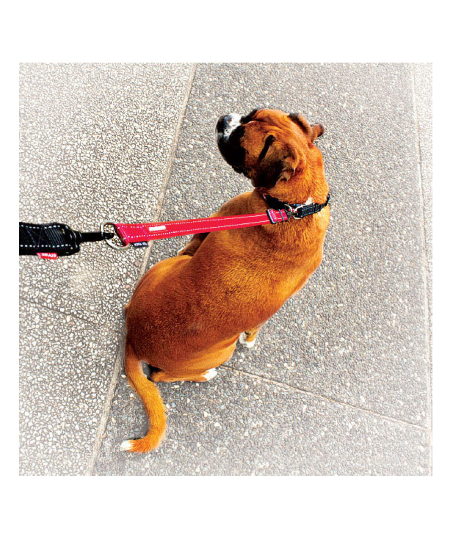 EzyDog Soft Touch Extention – Verlengstuk Zwart