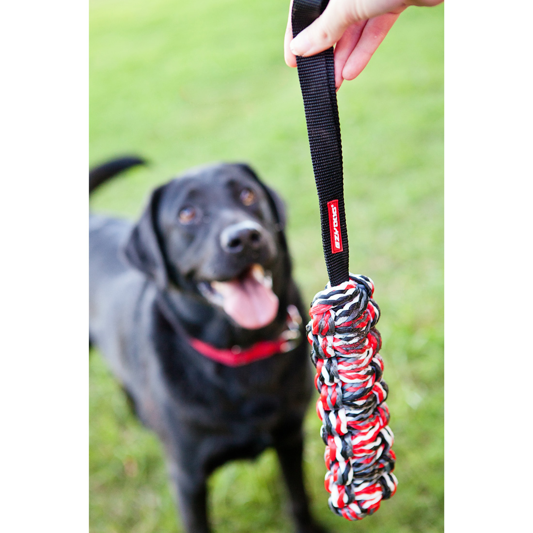 EzyDog Beaver Tail Small