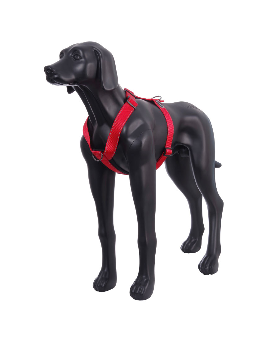 Rukka Pets Form Tuig Turquoise