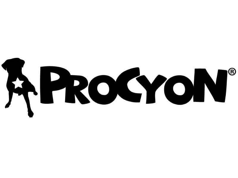Procyon