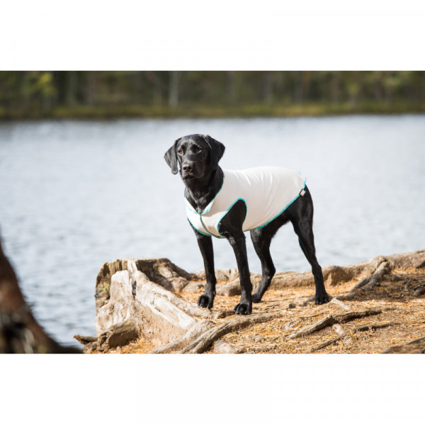 Rukka Pets Sunny UV - protectie t-shirt voor honden, licht grijs
