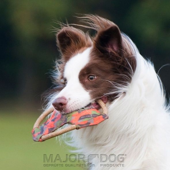Major Dog Frisbee